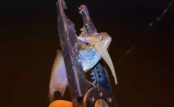 「垂水漁港でのアジング釣行でアジのツ抜け達成【兵庫】時合いはわずか10分ほど」の画像