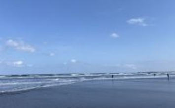 釣りをしたいのに体が動かない？　そんな時は釣具屋に行ってみよう！