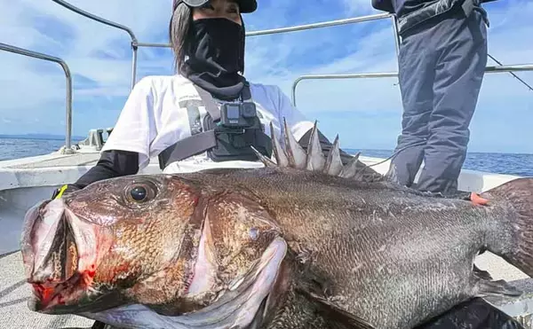 55.8kgのイシナギ浮上！スロージギングにヒット【沖のルアー釣果速報8選・三重】