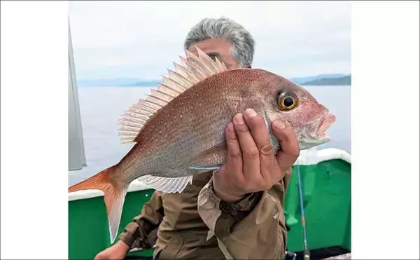 「55.8kgのイシナギ浮上！スロージギングにヒット【沖のルアー釣果速報8選・三重】」の画像