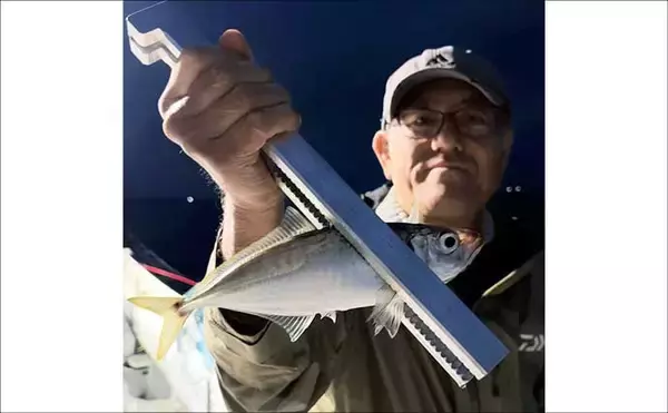 「55.8kgのイシナギ浮上！スロージギングにヒット【沖のルアー釣果速報8選・三重】」の画像