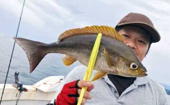 55.8kgのイシナギ浮上！スロージギングにヒット【沖のルアー釣果速報8選・三重】