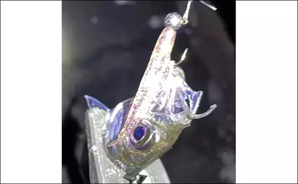 「メバリングとアジングについて『ChatGPT』に聞いてみた　回答は詰めが甘かった？」の画像