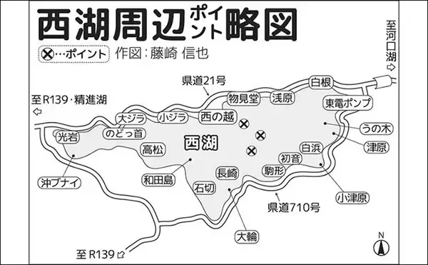 「西湖ボートヒメマス釣りで32cm筆頭に30尾【山梨】2024年は良型揃いの傾向か」の画像