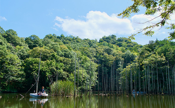 吉田康雄のザ・チャレンジへらぶな【完デコのリベンジin片倉ダム#4】
