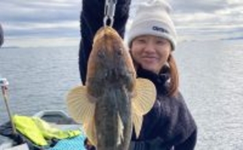 ボートルアーゲームで55cmマゴチをキャッチ！【三重】ワームのテールカットが奏功？