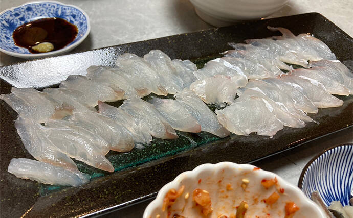 ボートルアーゲームで55cmマゴチをキャッチ！【三重】ワームのテールカットが奏功？