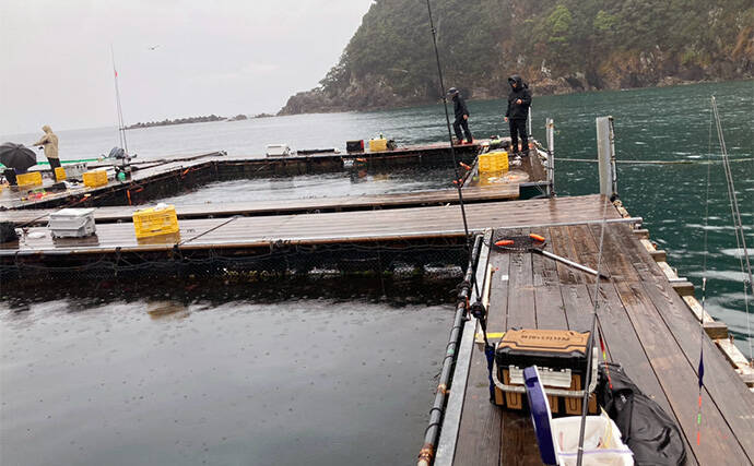 仲間と貸切で海上釣り堀を満喫【正徳丸】青物不発もマダイ・シマアジ・ヒラメを手中