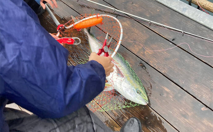仲間と貸切で海上釣り堀を満喫【正徳丸】青物不発もマダイ・シマアジ・ヒラメを手中
