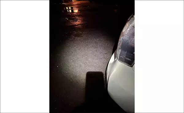 「冬の風物詩「琵琶湖ワカサギすくい」に挑戦！　100匹超えの結果に満足」の画像