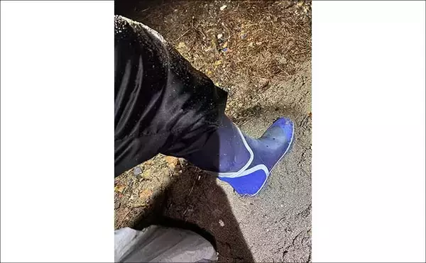 「冬の風物詩「琵琶湖ワカサギすくい」に挑戦！　100匹超えの結果に満足」の画像