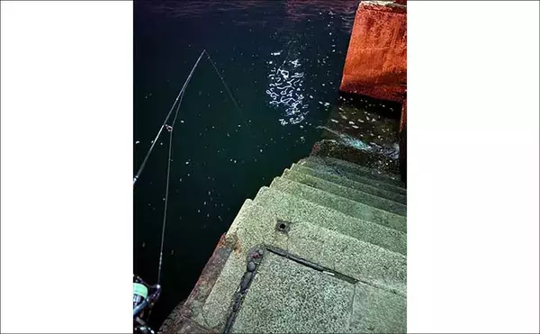 「チニングに向いている釣り場はどこ？　重点的に狙うべきポイントも解説」の画像