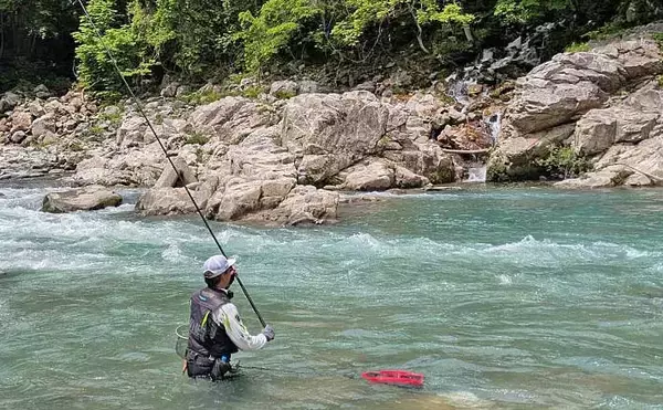 「美形ヤマメに大型イワナも魅力！」高原川で楽しむ本流渓流釣り場ガイド【岐阜】