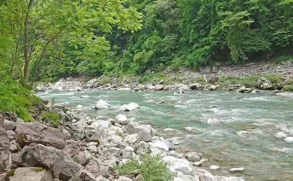 「「美形ヤマメに大型イワナも魅力！」高原川で楽しむ本流渓流釣り場ガイド【岐阜】」の画像