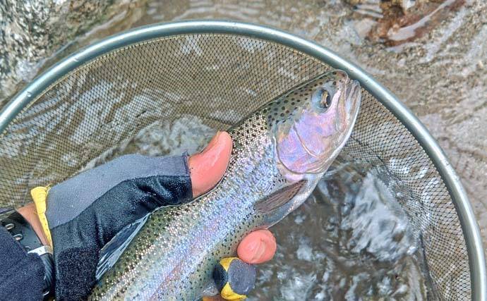 「美形ヤマメに大型イワナも魅力！」高原川で楽しむ本流渓流釣り場ガイド【岐阜】