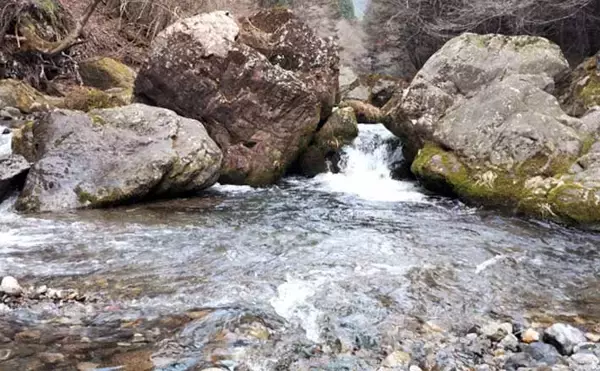 「「あなたは粘る？移動する？」 渓流エサ釣りにおけるポイント移動の判断基準」の画像