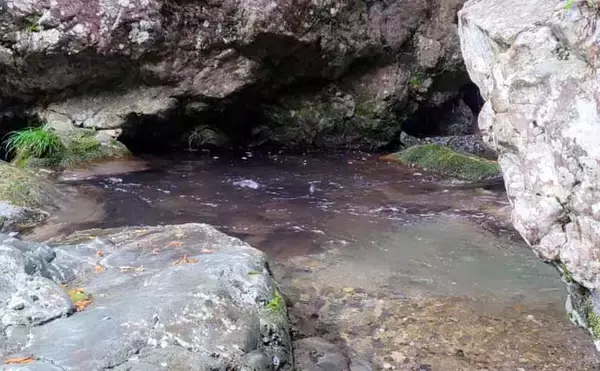 「「あなたは粘る？移動する？」 渓流エサ釣りにおけるポイント移動の判断基準」の画像