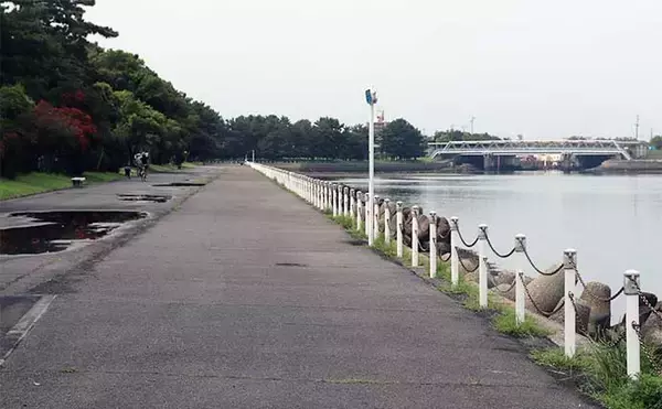 「愛知＆三重の陸っぱりハゼ釣り場紹介　秋は20cm級の良型チャンスも」の画像