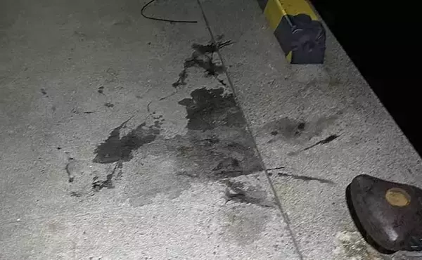 「大阪湾の陸っぱりライトルアー釣行でタチウオにアジ　今はイカの海か？」の画像