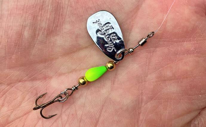 日野川水系での渓流ルアー釣りでゴギにアマゴ【鳥取】スピナーにヒット