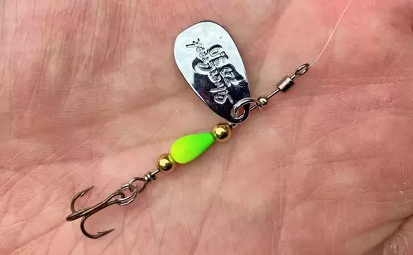 「日野川水系での渓流ルアー釣りでゴギにアマゴ【鳥取】スピナーにヒット」の画像