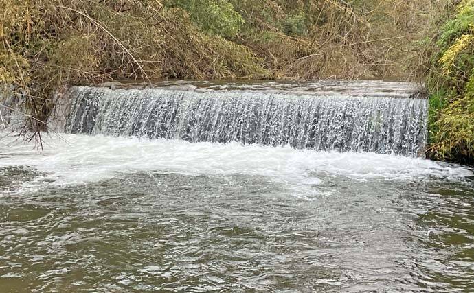 日野川水系での渓流ルアー釣りでゴギにアマゴ【鳥取】スピナーにヒット
