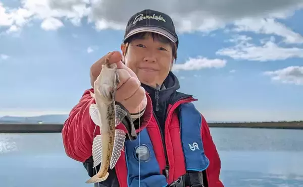 冬の堤防ちょい投げ釣りで21cmに20cmと大型マハゼをキャッチ【石川・滝港マリーナ】