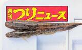 「冬の堤防ちょい投げ釣りで21cmに20cmと大型マハゼをキャッチ【石川・滝港マリーナ】」の画像5