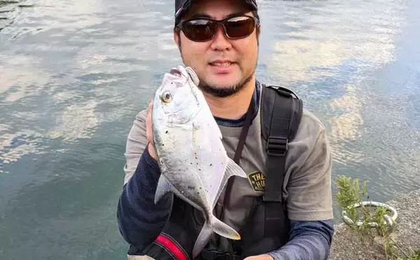 南伊勢のライトソルト五目ゲームで9種目制覇！【三重】港内で27cmメッキ＆37cmシオも登場