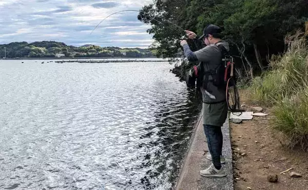 「南伊勢のライトソルト五目ゲームで9種目制覇！【三重】港内で27cmメッキ＆37cmシオも登場」の画像