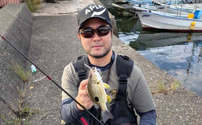 南伊勢のライトソルト五目ゲームで9種目制覇！【三重】港内で27cmメッキ＆37cmシオも登場