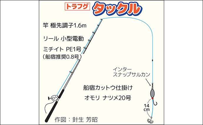 東京湾トラフグ釣りに初挑戦【千葉・吉野屋】カットウ仕掛けで本命キャッチ成功！