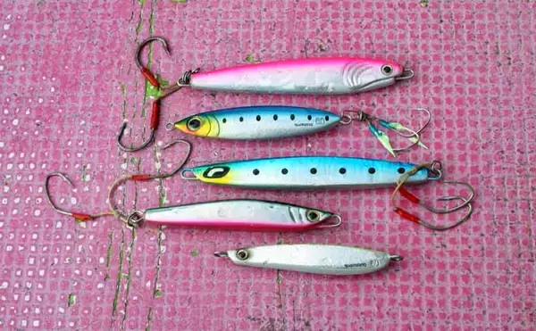 「東京湾シーバスジギング船で60cm頭に3尾キャッチ【つり幸】赤金がアタリカラー」の画像