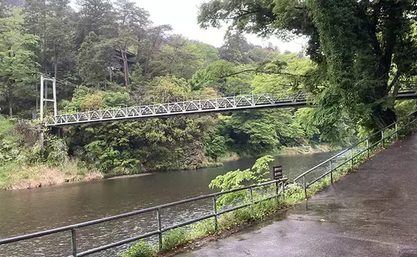 「関東の溪流釣り釣果レポート：奥多摩川本流エサ釣りでニジマス＆ヤマメ好反応【東京】」の画像