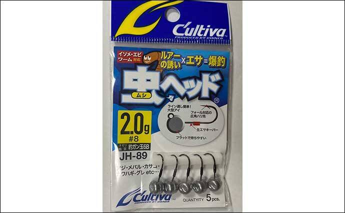 ジグヘッドにイソメのハイブリッド仕掛けで17cm頭にハゼ「つ抜け」