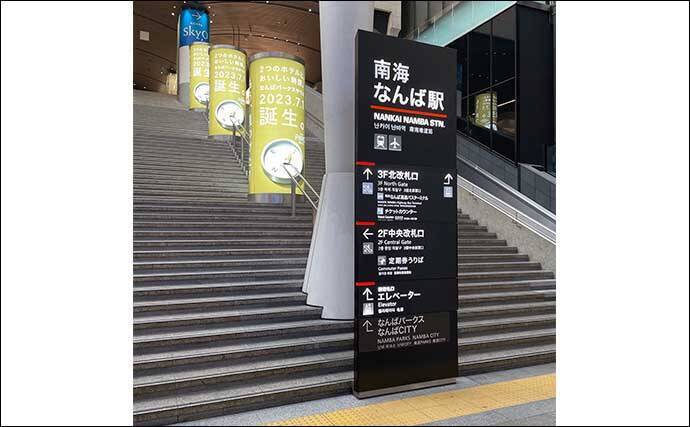 電車釣行可能な釣り場「深日港」を紹介　駅から徒歩3分で多彩魚種が狙える