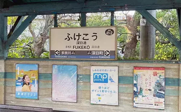 「電車釣行可能な釣り場「深日港」を紹介　駅から徒歩3分で多彩魚種が狙える」の画像