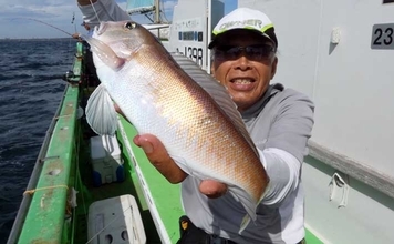 「強い引きと極上の味！」相模湾アマダイ攻略ガイド　タックル・仕掛け・釣り方の極意を伝授
