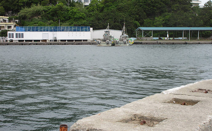 「冬はキス釣りオフシーズン」は間違い！　厳寒期の投げ釣りのポイントと楽しみ方を解説