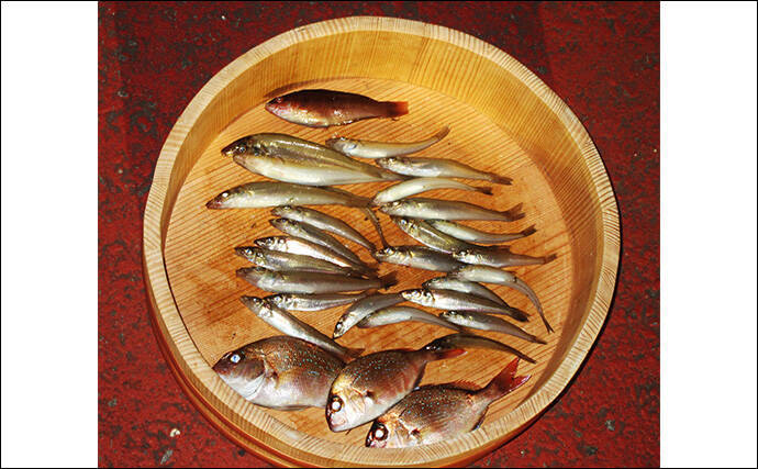 「冬はキス釣りオフシーズン」は間違い！　厳寒期の投げ釣りのポイントと楽しみ方を解説