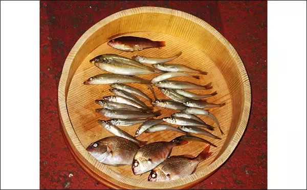 「「冬はキス釣りオフシーズン」は間違い！　厳寒期の投げ釣りのポイントと楽しみ方を解説」の画像