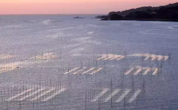 「恵方巻きの高値傾向が継続　豊かな海の環境が減っていることも一因か」の画像