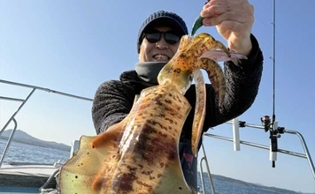 寒波後の伊万里湾ティップランで1.1kg頭に良型アオリイカ手中【佐賀】重めシンカーが奏功