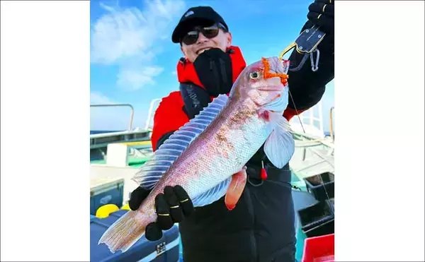 「【沖釣り釣果速報】御前崎沖アマダイ五目で本命キャッチ！赤白アマダイ交じり多彩釣果（愛知・静岡）」の画像