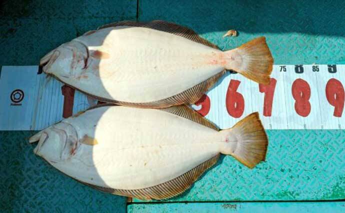 【沖釣り釣果速報】御前崎沖アマダイ五目で本命キャッチ！赤白アマダイ交じり多彩釣果（愛知・静岡）