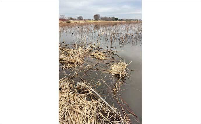 吉田康雄のザ・チャレンジへらぶな【春しかできない釣りをしよう#1】