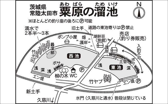 今週のヘラブナ「ピックアップ」釣り場202【茨城・粟原の溜池】