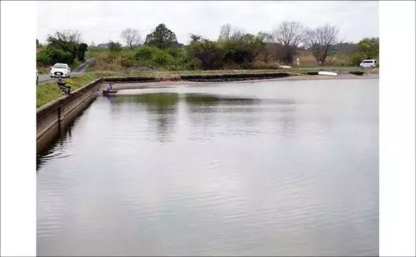 「今週のヘラブナ「ピックアップ」釣り場202【茨城・粟原の溜池】」の画像