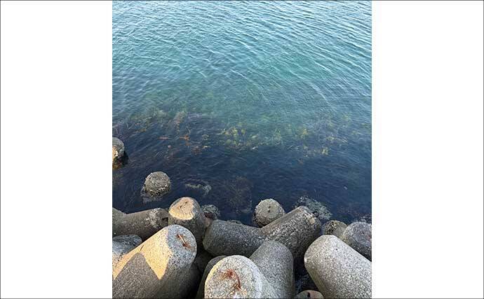 春は穴釣りとライトなショアジギングがオススメ！【大阪】谷川港でカサゴとメバルを好捕