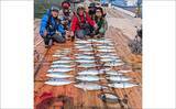「海上釣り堀で青物が爆釣！【和光・三重】ワラサとカンパチ合わせて23匹」の画像10